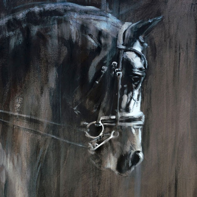 Print of dressage stallion "Connaisseur"